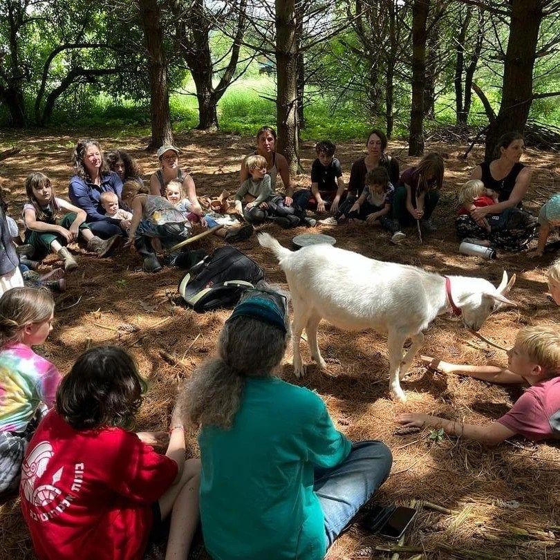 SolFed Kids Farm School Program